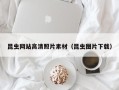 宜都昆虫网站高清照片素材（昆虫图片下载）