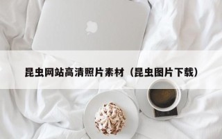 宜都昆虫网站高清照片素材（昆虫图片下载）